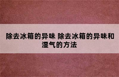 除去冰箱的异味 除去冰箱的异味和湿气的方法